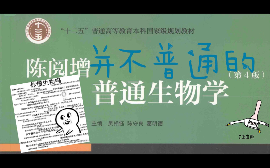 陈阅增并不普通的普通生物学普生植物茎思维导图哔哩哔哩bilibili