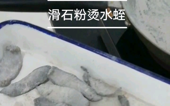 滑石粉烫水蛭哔哩哔哩bilibili