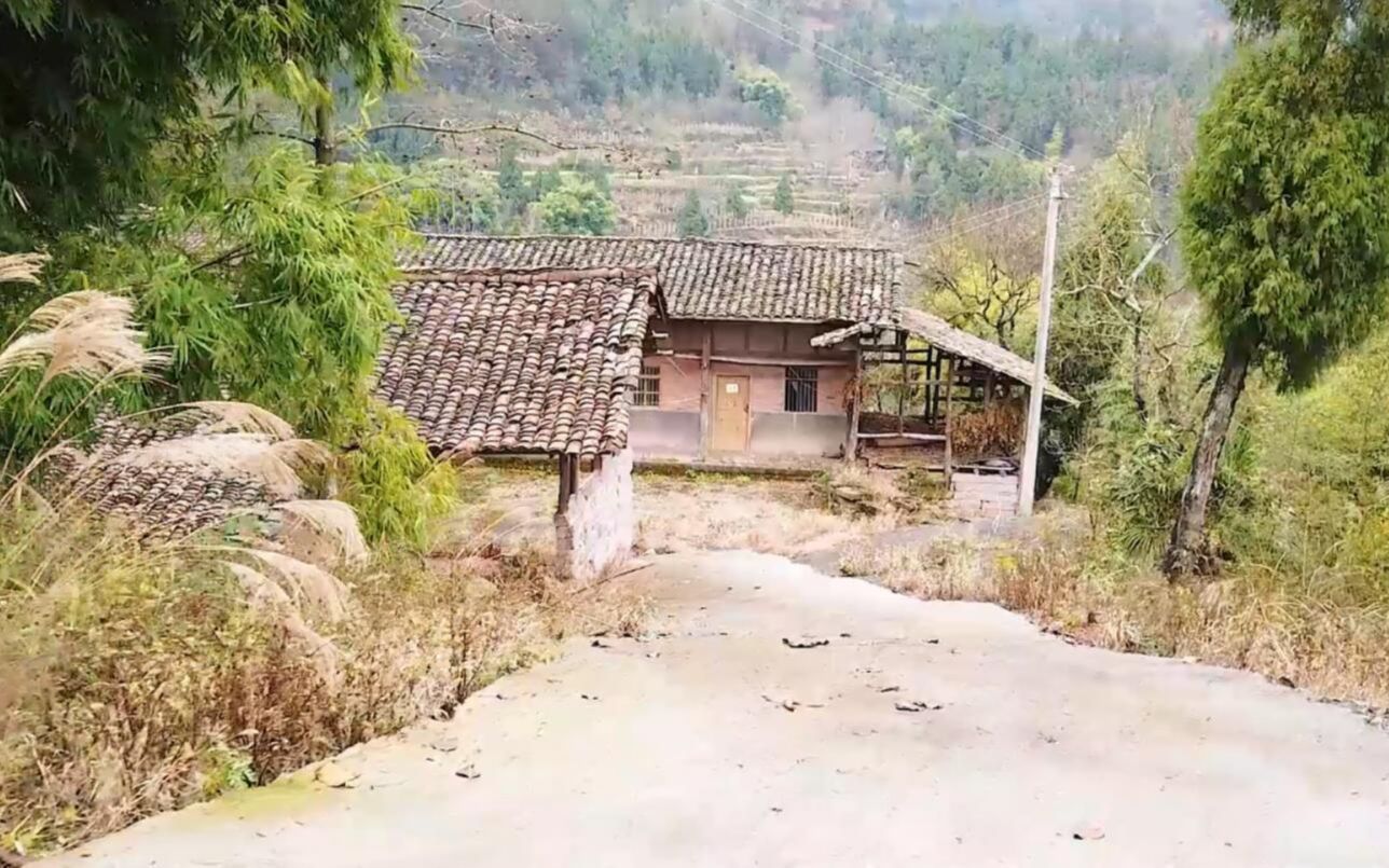 大山上发现一栋破旧的老房子,水泥路通到院坝里,还有人居住吗?