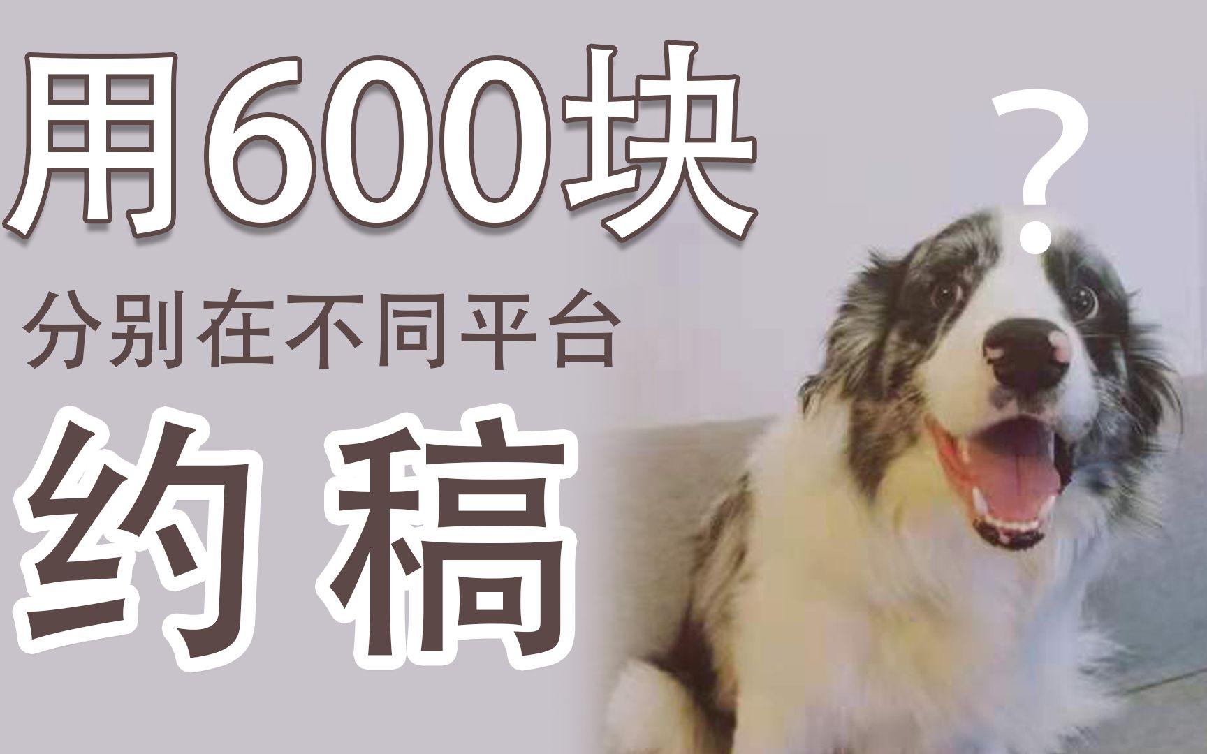 600块钱在不同平台给狗狗约稿,收到画后我们笑疯了!哔哩哔哩bilibili