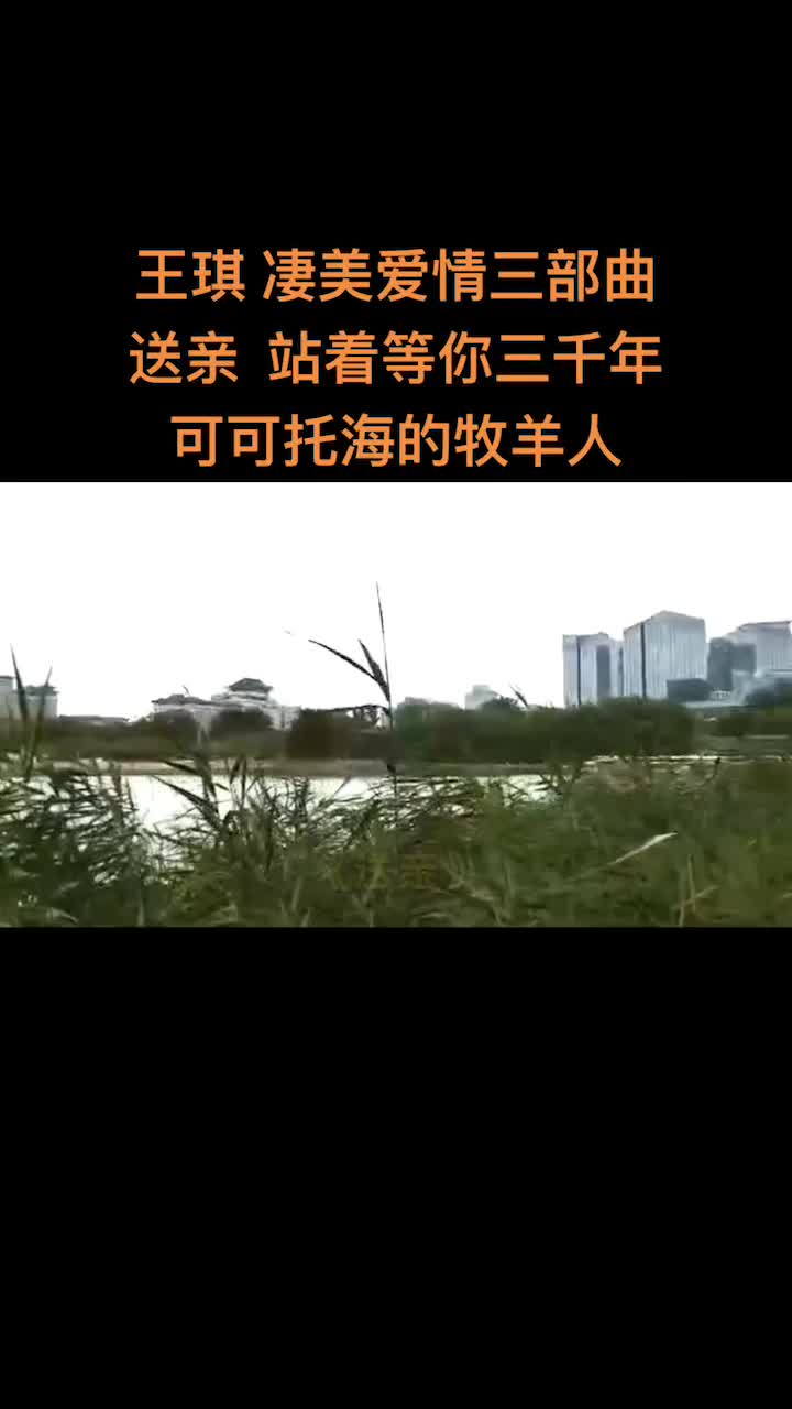 王琪 凄美爱情三部曲 《送亲》《站着等你三千年》 《可可托海的牧羊人》哔哩哔哩bilibili