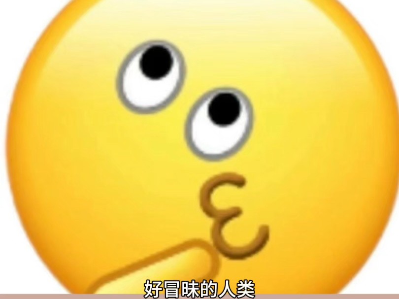 蜘蛛织完网发现天塌了哈哈哈哈哈哔哩哔哩bilibili