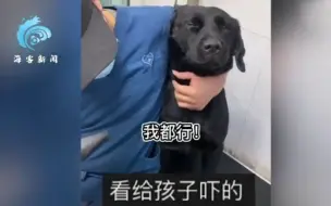 下载视频: 警犬洗完澡“狂躲”拒绝吹风 警察喊兽医名字 狗子瞬间僵住