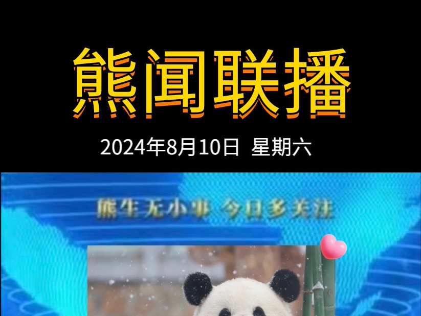 《熊闻联播》|带你了解天下熊事,2024.8.10熊圈又发生了什么?(原视频素材来源网络)哔哩哔哩bilibili