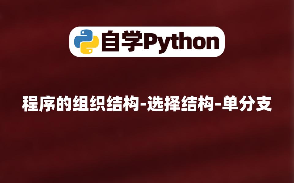 [Python入门]程序的组织结构选择结构单分支哔哩哔哩bilibili