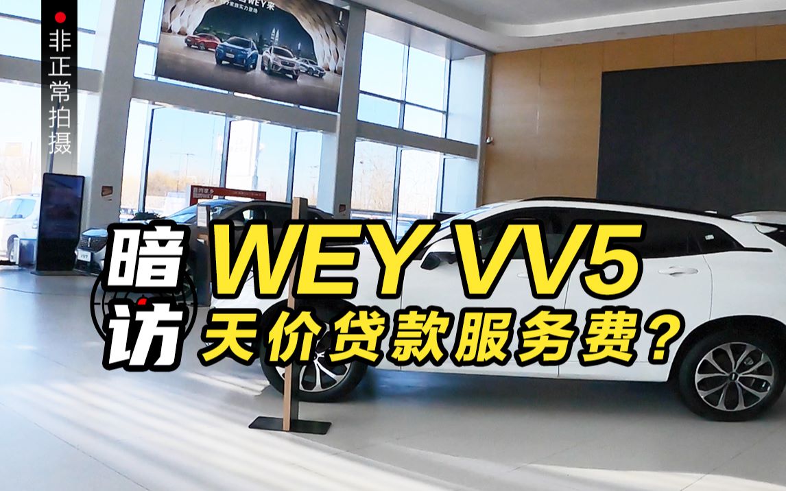 暗访WEY VV5落地价!优惠仅1万?天价贷款服务费?哔哩哔哩bilibili