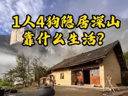 Download Video: 1人4狗隐居深山，靠什么维持生存？