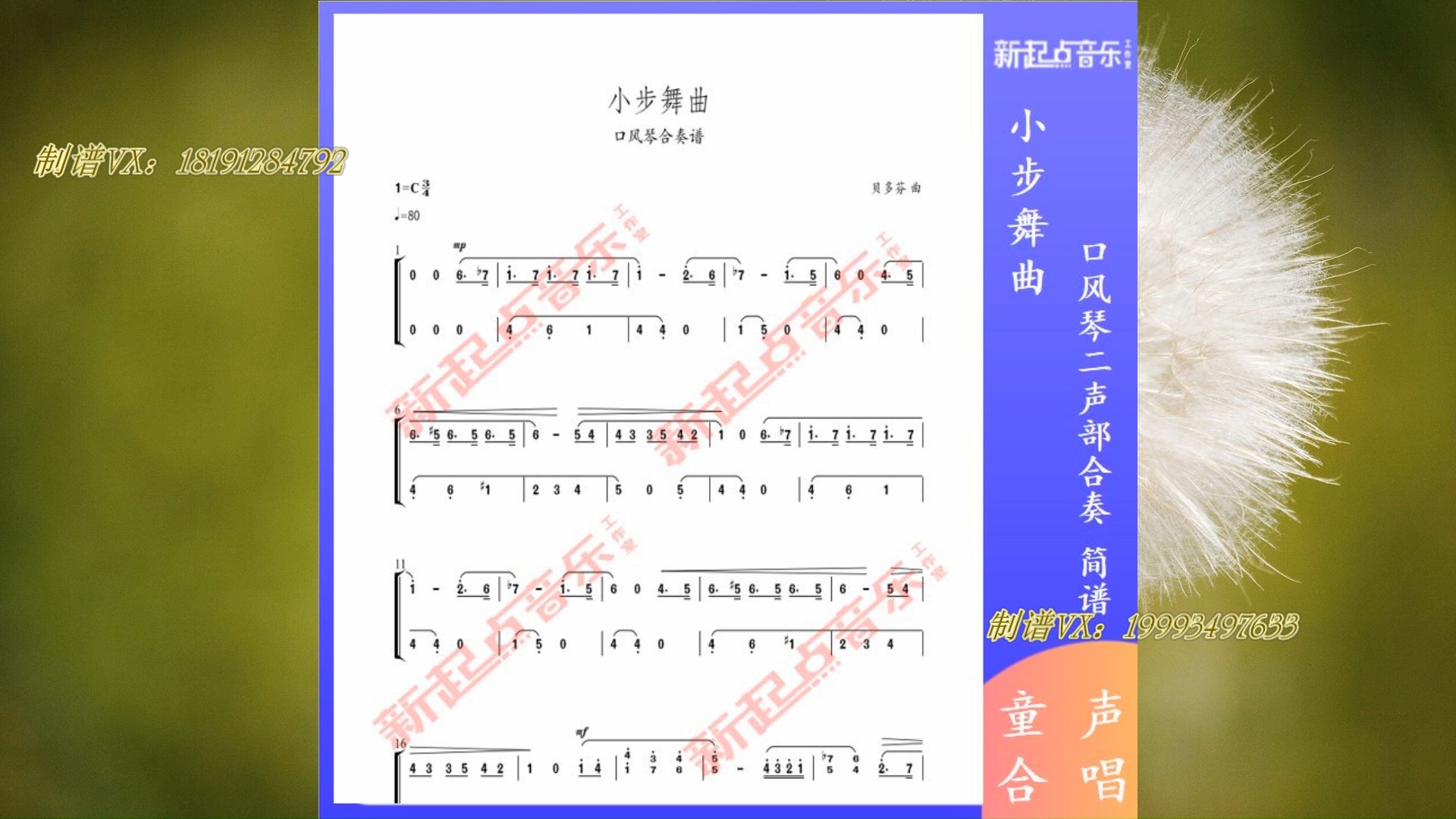 小步舞曲口风琴简谱图片