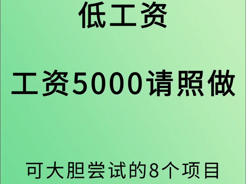 低工资 工资5000请照做,可大胆尝试的8个项目哔哩哔哩bilibili