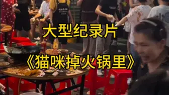 大型纪录片《猫咪掉火锅里》