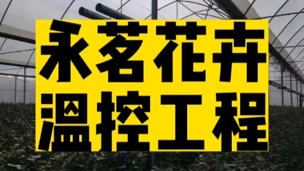 飞龙农业温控工程案例:云南永茗花卉温室大棚加温工程.暖风机已安装完工,等待生物质锅炉到货安装.哔哩哔哩bilibili