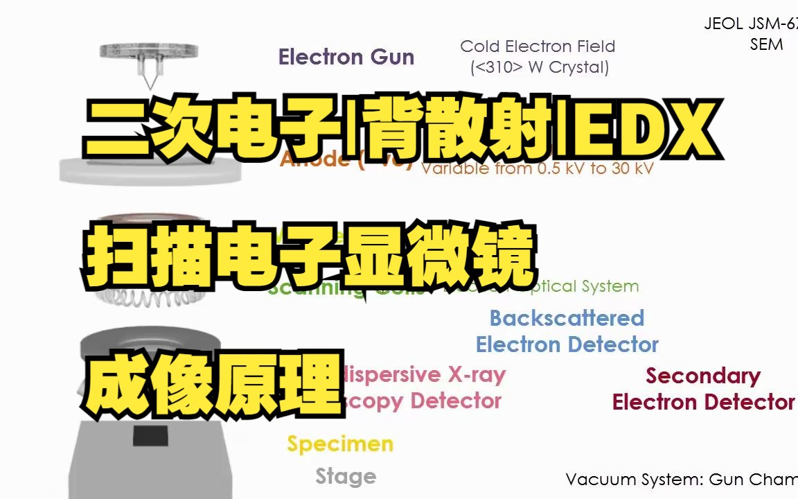 【扫描电子显微镜】二次电子|背散射|EDX成像原理哔哩哔哩bilibili