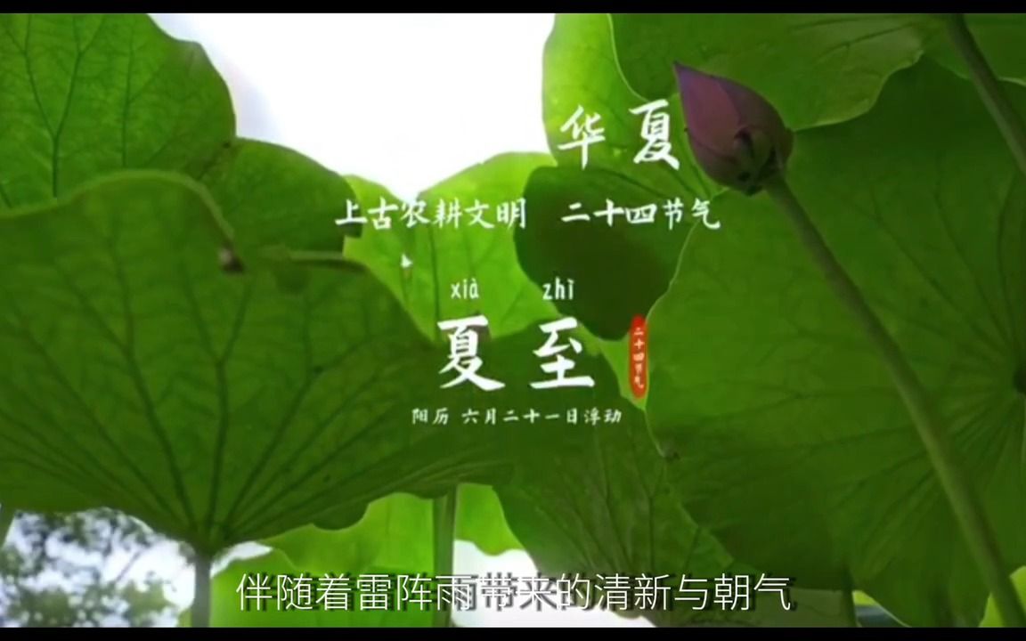 [图]华夏学子说-纸上盛夏-陈佳怡-上海市闸北第八中学