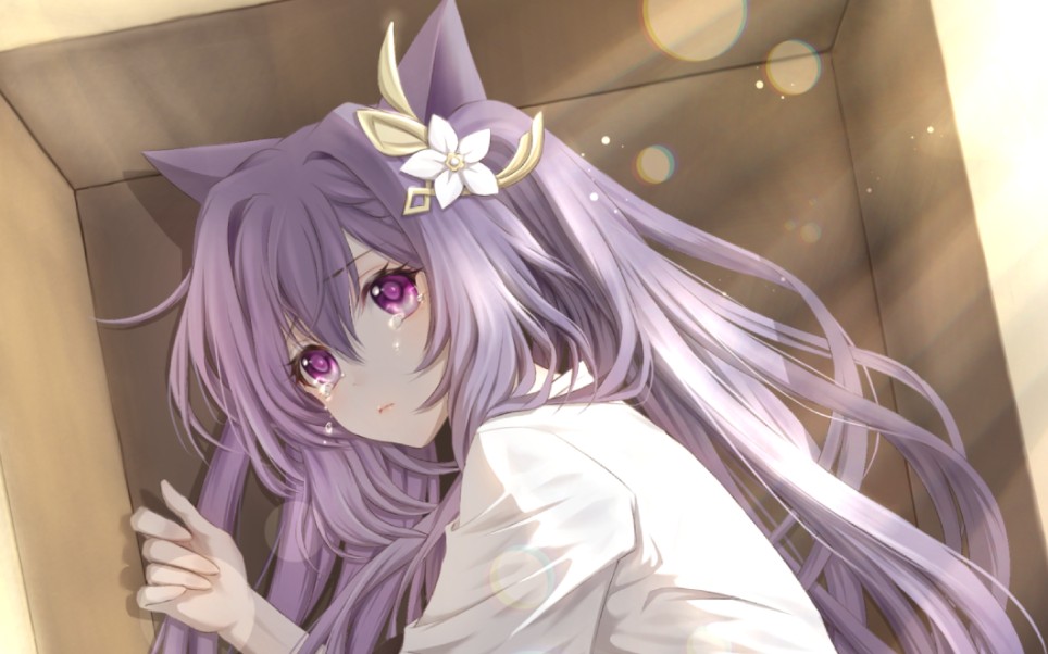 活动作品procreate原神纸箱里的刻晴猫猫