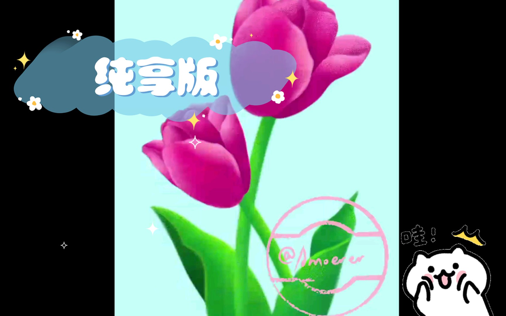 纯享版一起来画幅紫色郁金香吧哔哩哔哩bilibili