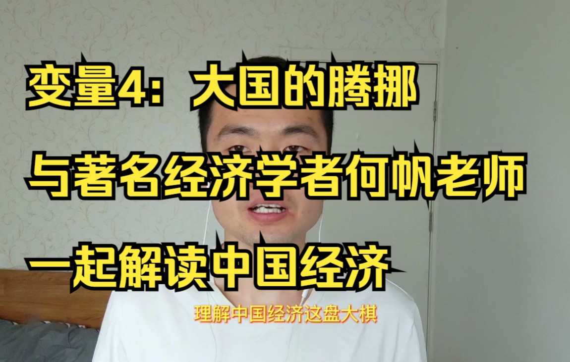 变量4:大国的腾挪,与著名经济学者何帆老师一起解读中国经济哔哩哔哩bilibili