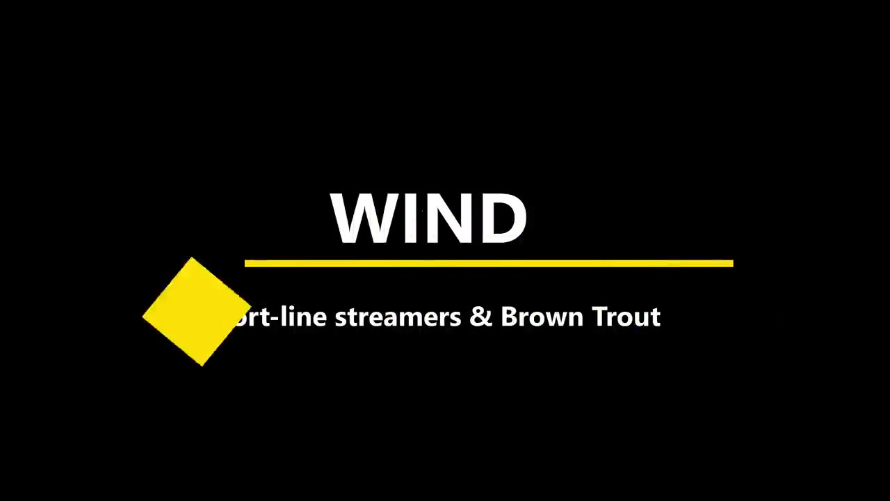 [图]How To Cast Short Line Streamers into the WIND for BIG BROWN TROUT - Brown Trout