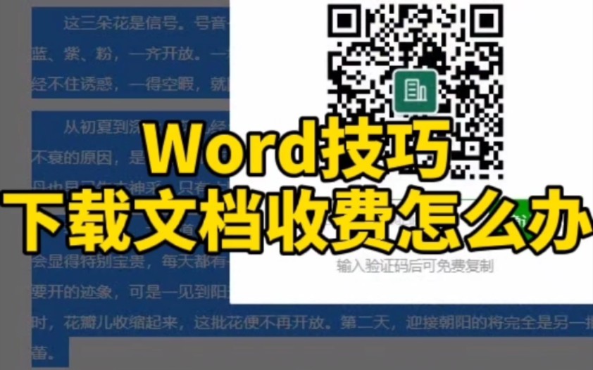 word技巧下载文档收费怎么办哔哩哔哩bilibili