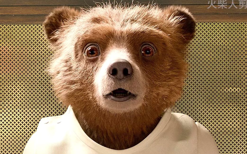 等国家允许了,养一头熊玩玩也不错