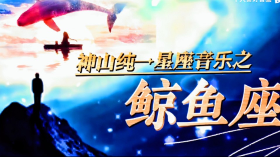 梦镜第14篇!星座音乐《鲸鱼座》作曲家,神山纯一的这首音乐作品,视听起来就是一种心灵享受!努力用光影,音效,梦幻画面,呈现其绝美意境!哔哩...