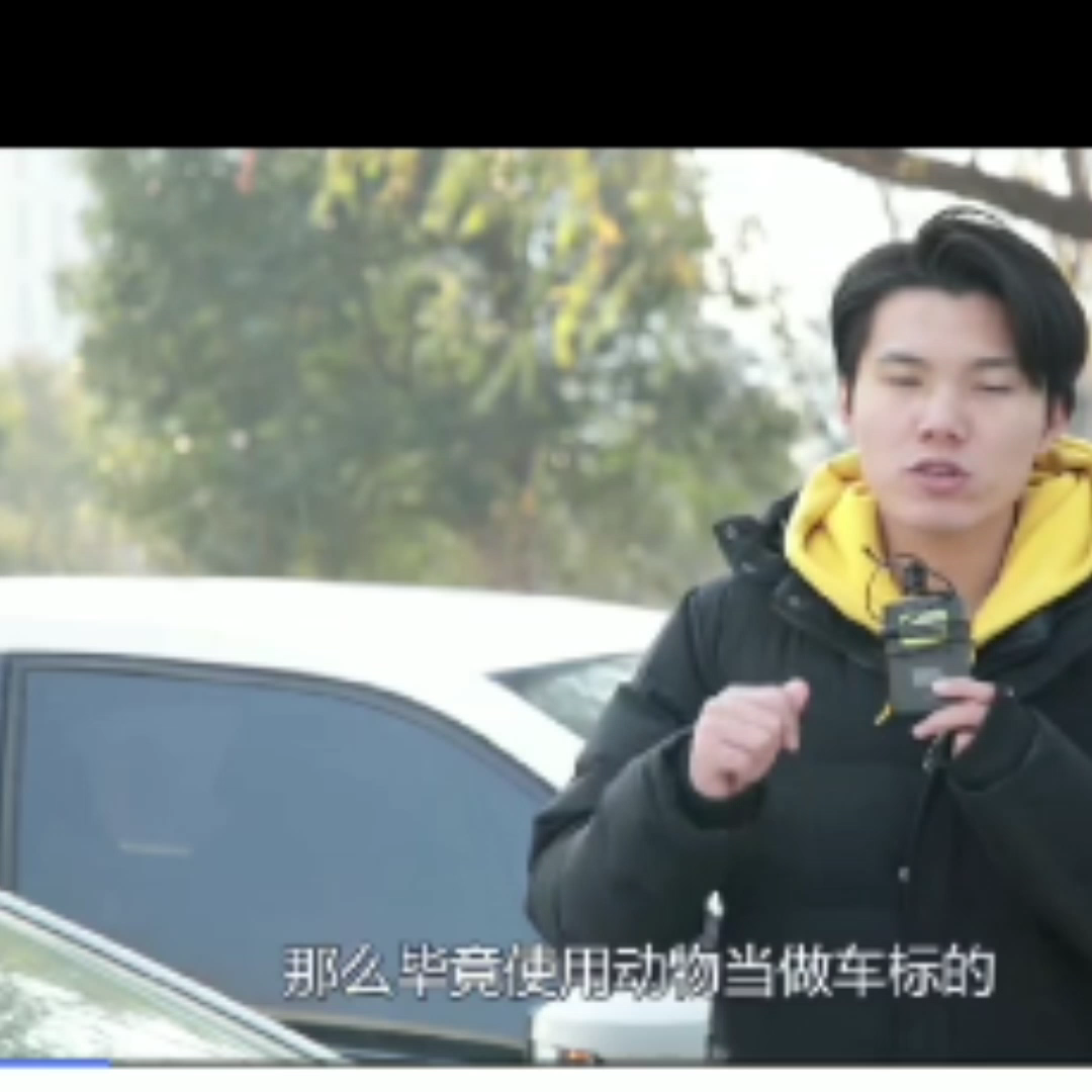 豪车的车标哔哩哔哩bilibili