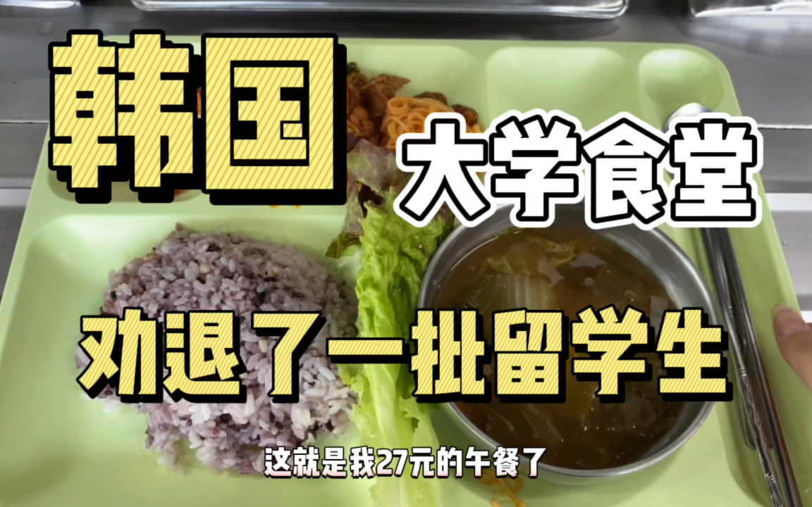 韩国大学食堂系列、 看我视频,劝退了一起批,想来韩国留学的人哔哩哔哩bilibili