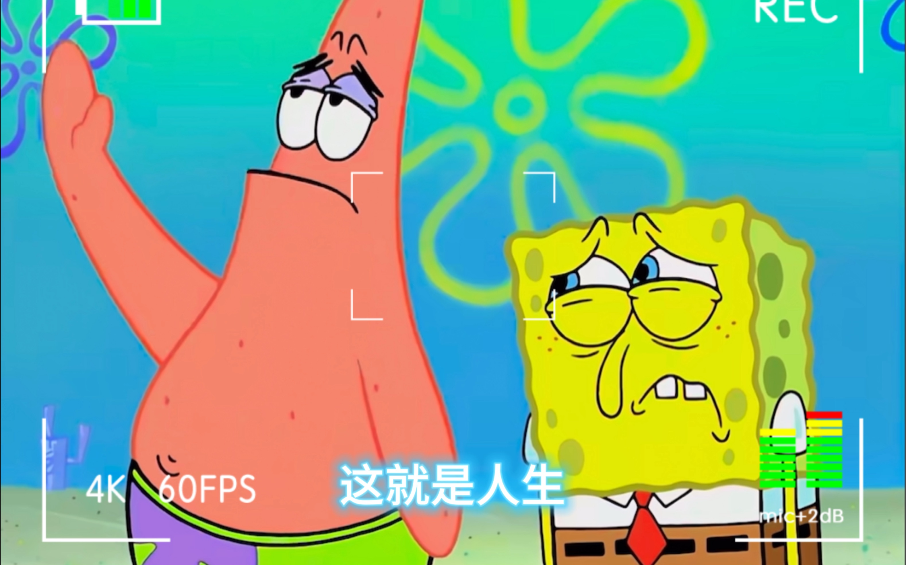 "派大星语录之这就是人生,人生,懂嘛?