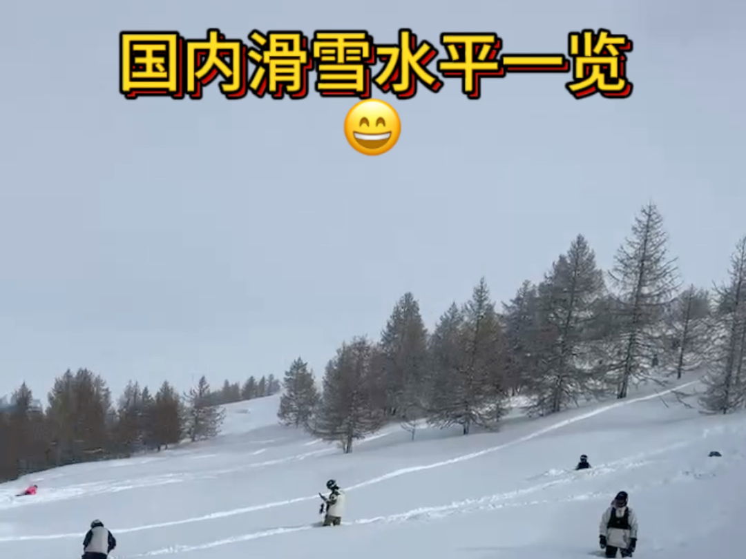 国内滑雪水平一览“通过性”.“什么叫通过性,你赶紧过来拉我一下啊.”𐟘†#看看你的滑雪搭子哔哩哔哩bilibili