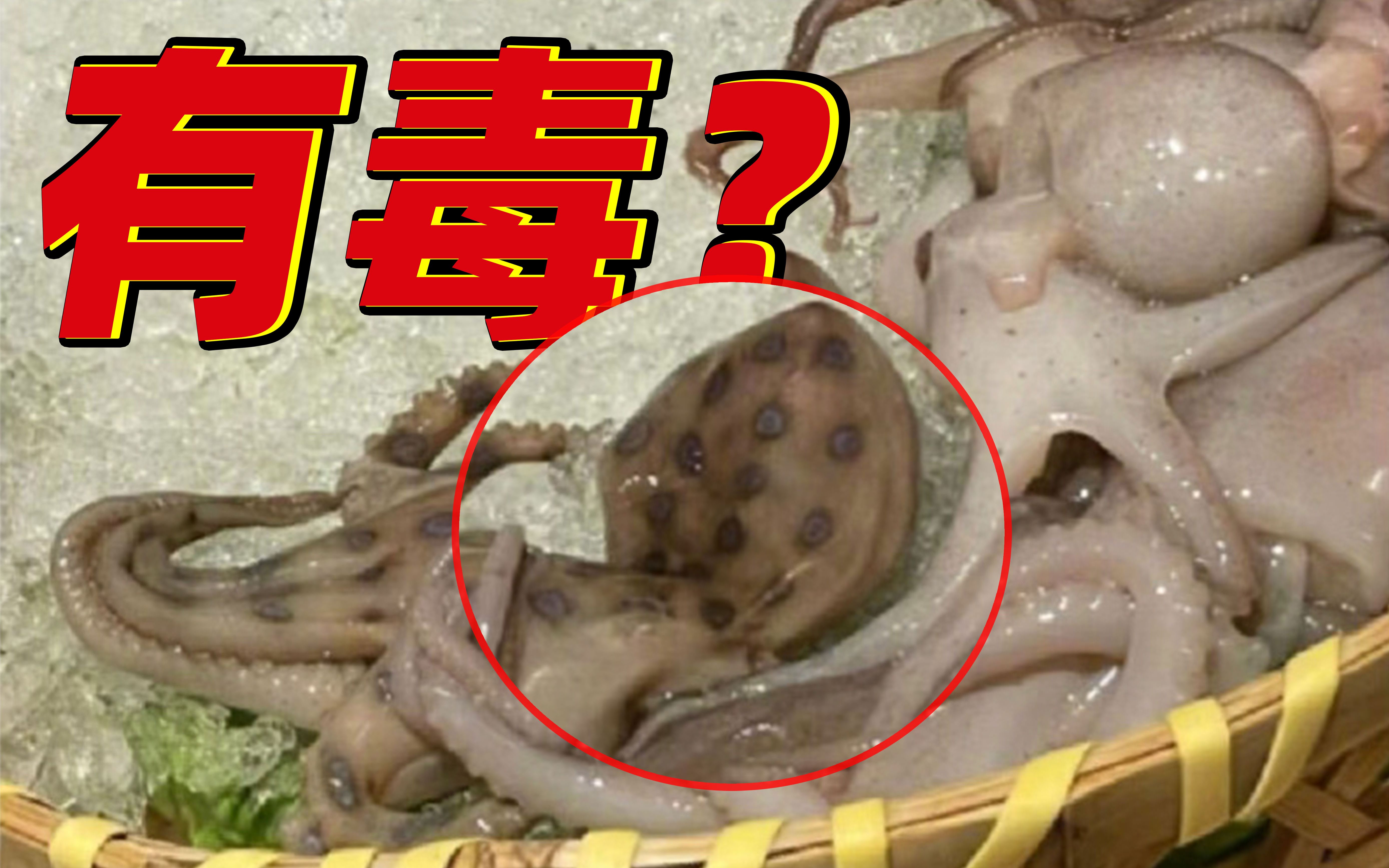 【救命的知识】网友吃火锅菜品中发现剧毒蓝环章鱼