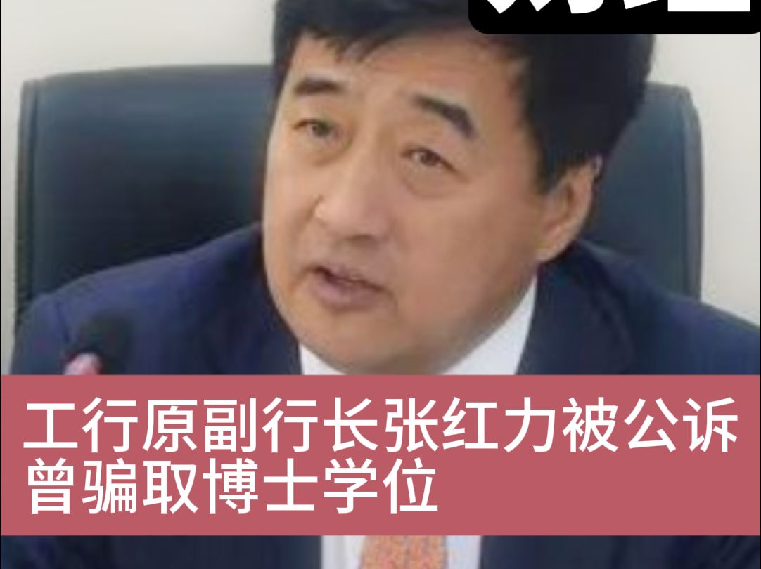 工行原副行长张红力被公诉 曾骗取博士学位哔哩哔哩bilibili