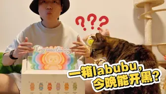 Labubu盲盒开箱！看看我抽到了什么？！