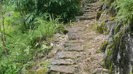 [图]山高路眺远，享受乡村自然风景。