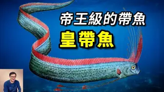 Download Video: 俗稱「地震魚」，體長超過10米，相貌極其魔幻，深海巨物之一，帶魚中的帝王——皇帶魚