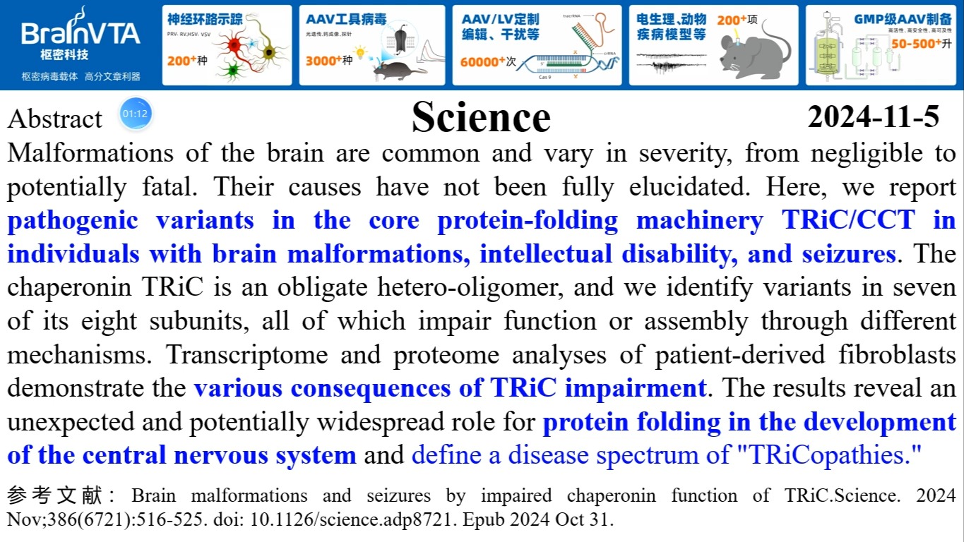 Science—TRiC病谱系的发现:蛋白折叠异常引起大脑发育畸形、智力障碍和癫痫哔哩哔哩bilibili