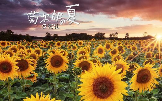 吉他口琴久石让菊次郎的夏天summer