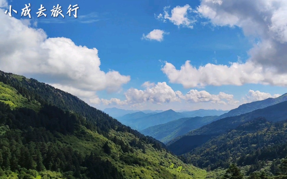 木鱼镇出发游神农顶,华中第一峰“海拔3000米,神农谷风景美如画哔哩哔哩bilibili