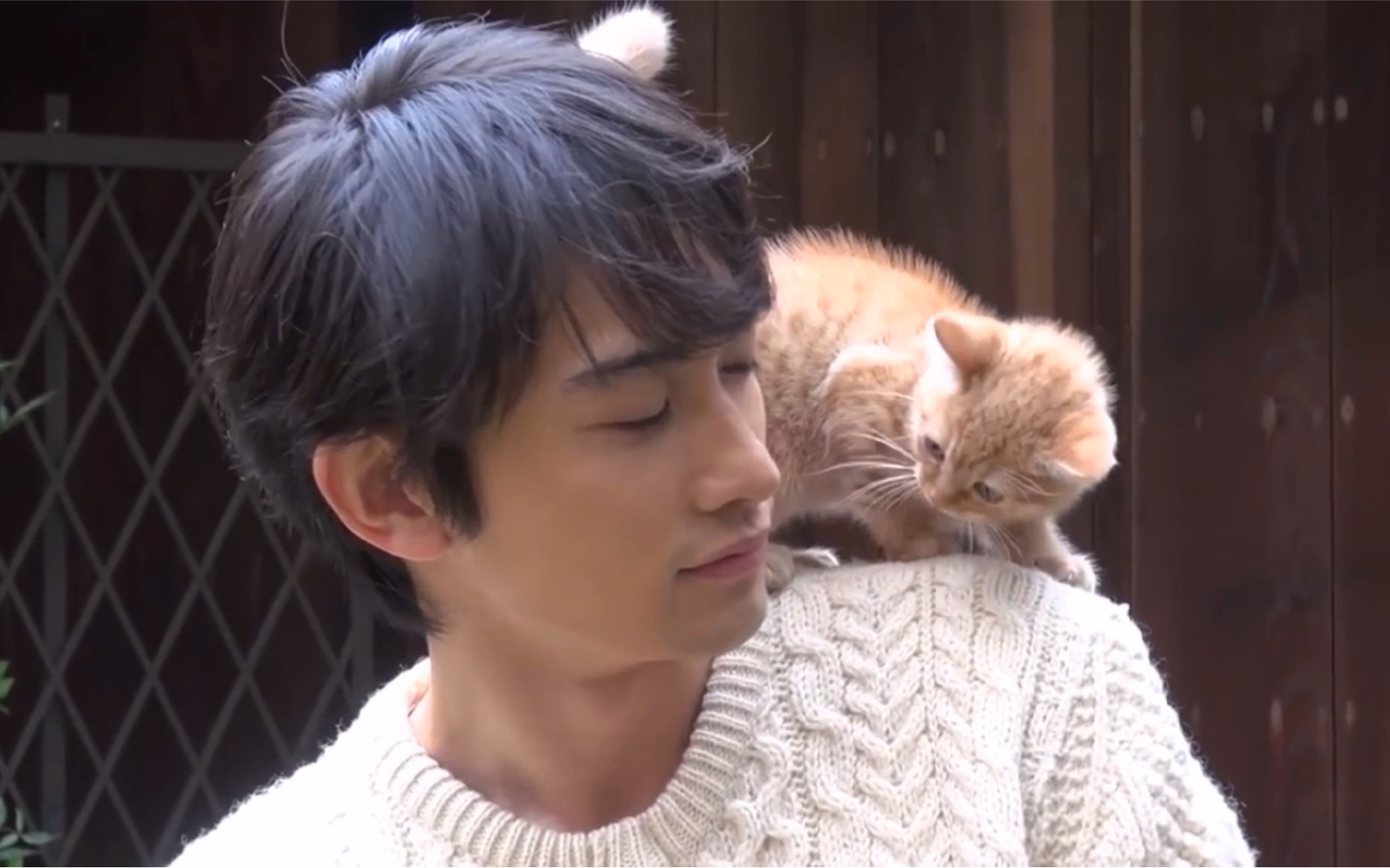 【町田启太|猫系男孩】已知&未知_哔哩哔哩_bilibili