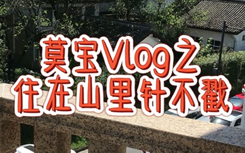 活动  国庆(?)假期vlog之住在山里针不戳