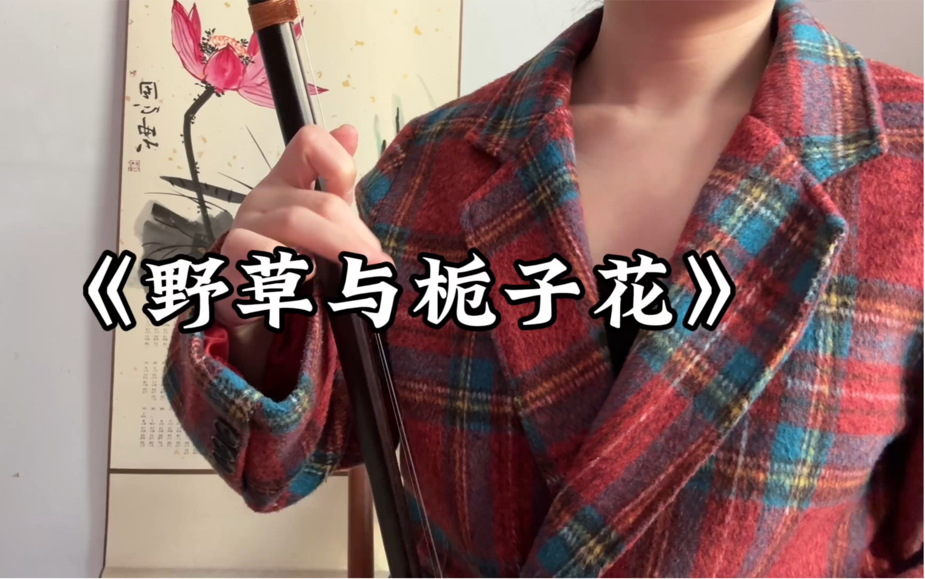 二胡《野草与栀子花》想走的人留不住