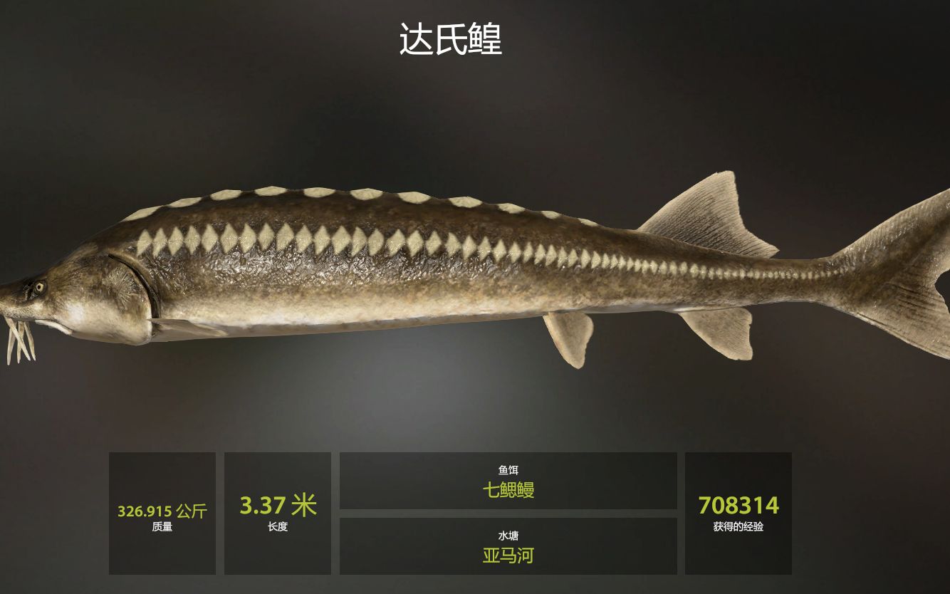 俄罗斯钓鱼4-300kg达氏鳇