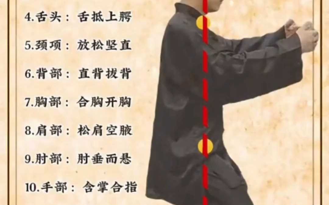 一张图看懂站桩正确姿势,你确定不来看看?