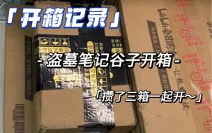 下载视频: 开箱记录｜盗笔谷（冲动下单版）