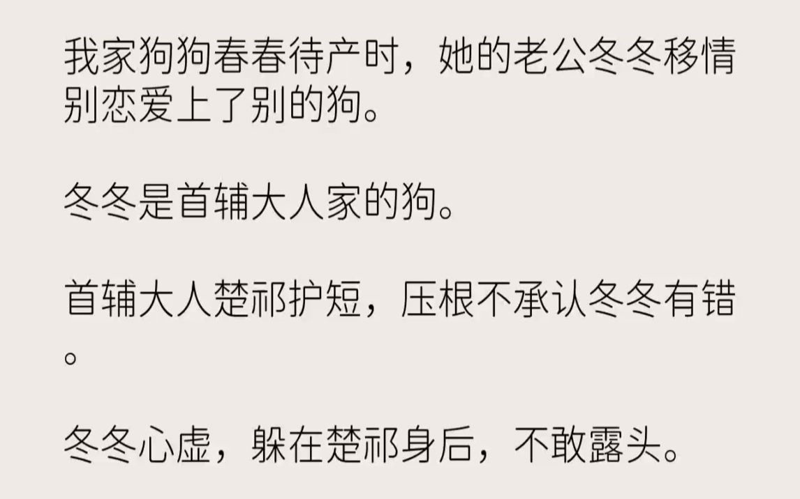 【完结文】我家狗狗春春待产时,她的老公冬冬移情别恋爱上了别的狗.冬冬是首辅大人家...哔哩哔哩bilibili