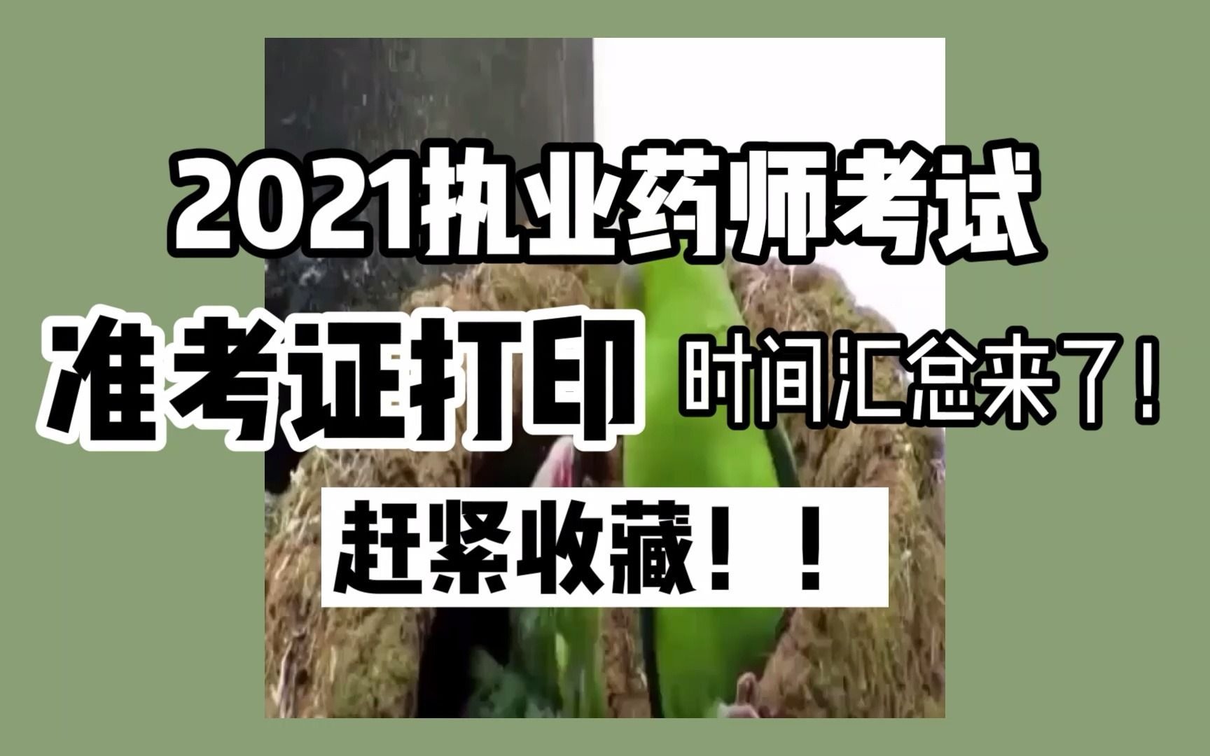 【执业药师】2021年准考证打印时间汇总来了,赶紧收藏!哔哩哔哩bilibili