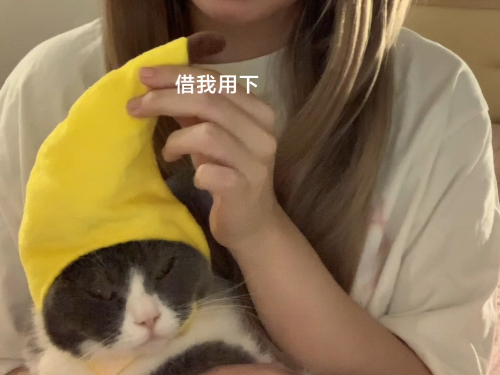 哈基米好像有点不爽