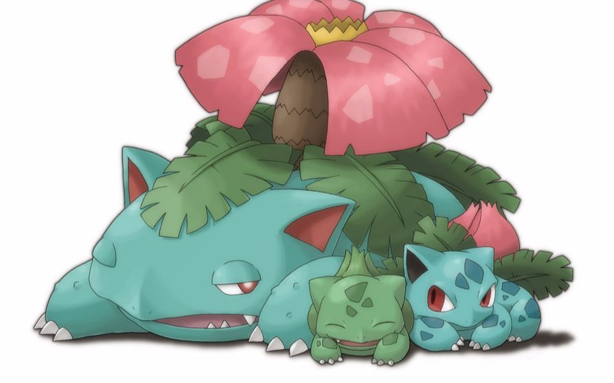 【喷蛙轴,回归】喷火龙妙蛙花队 seantv 精灵宝可梦 双打排位 8月16日