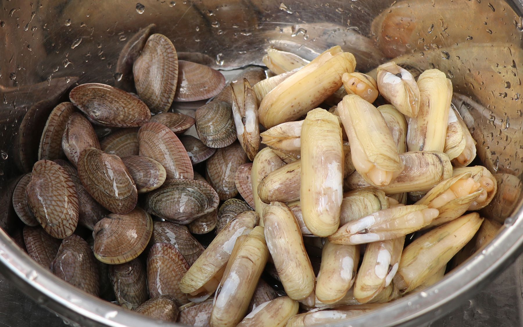 活动作品试下生爆蛏子花甲螺鲜嫩可口味道鲜美