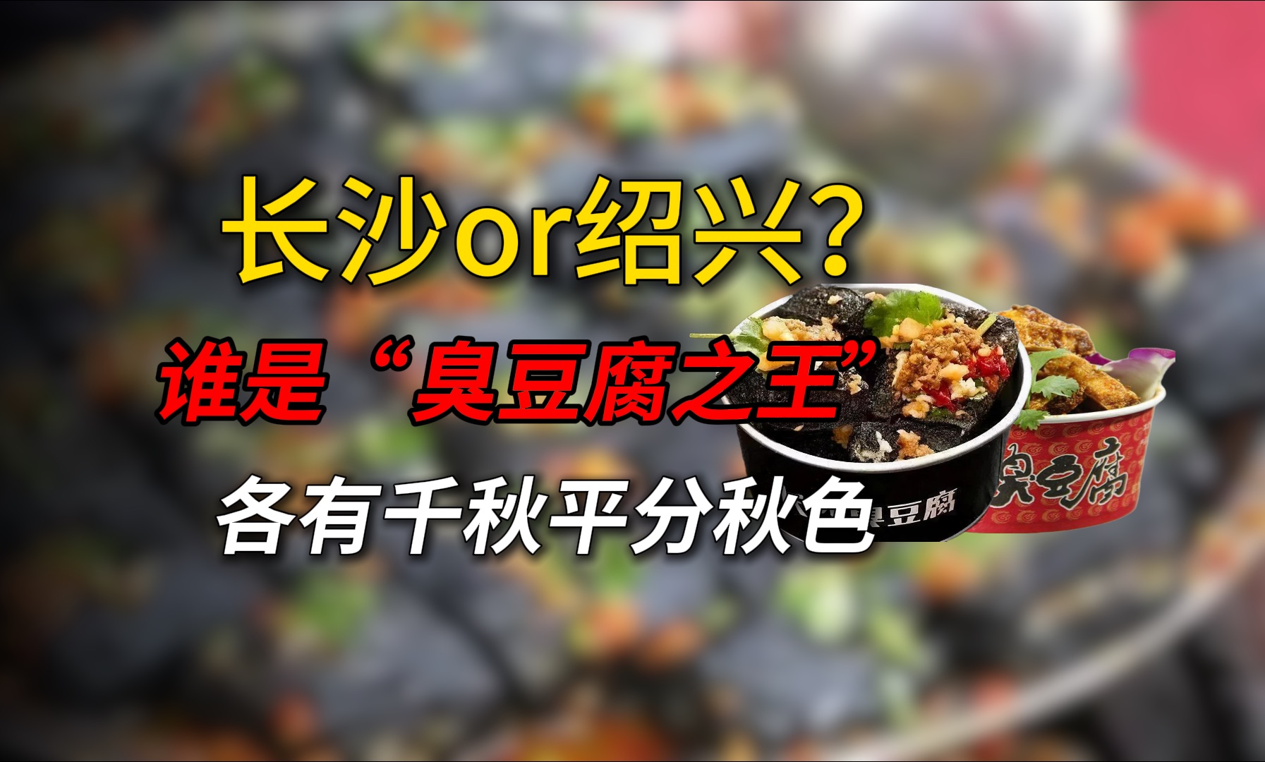 【第48期】湖南or绍兴,哪一个才是臭豆腐卫冕之王?原来各有乾坤!哔哩哔哩bilibili