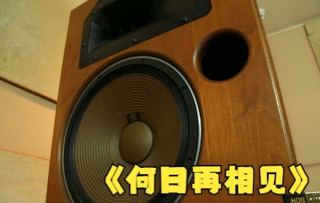 [图]大型书架音箱，聆听来自83年的主题曲《何日再相见》