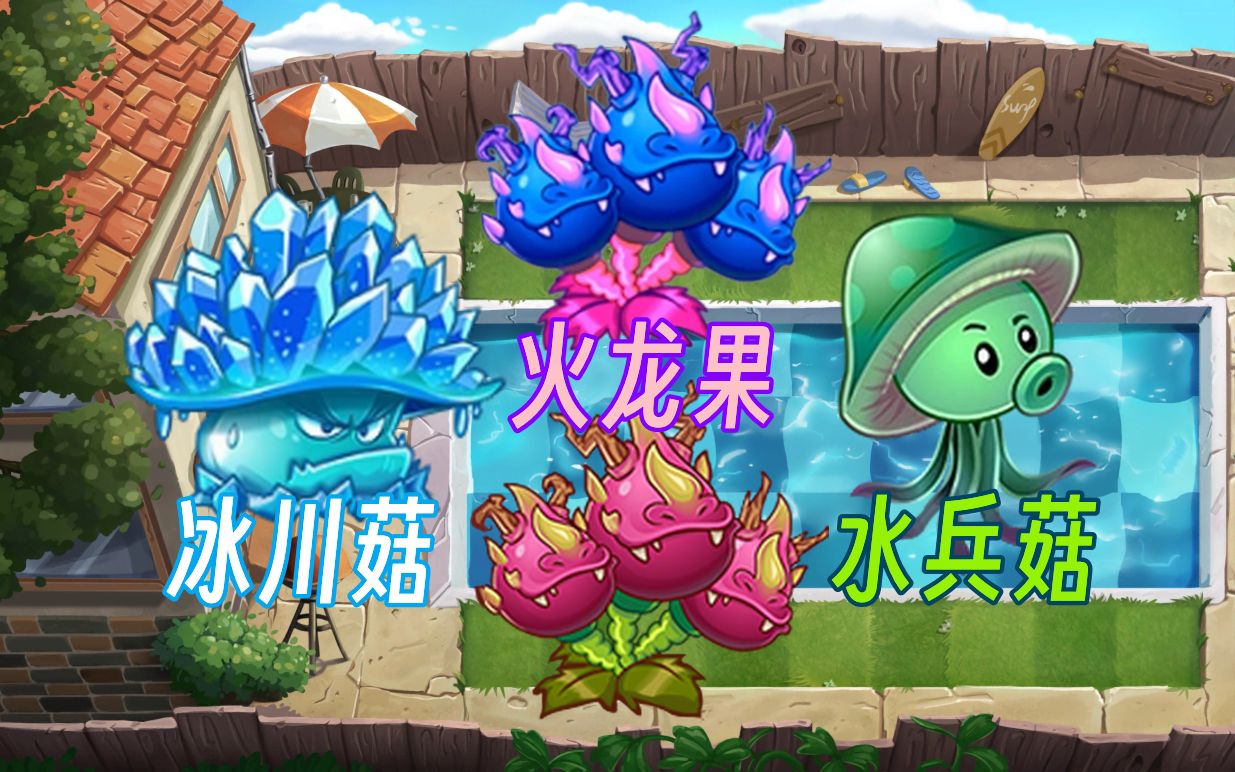 火龙果 冰川菇 水兵菇 预览